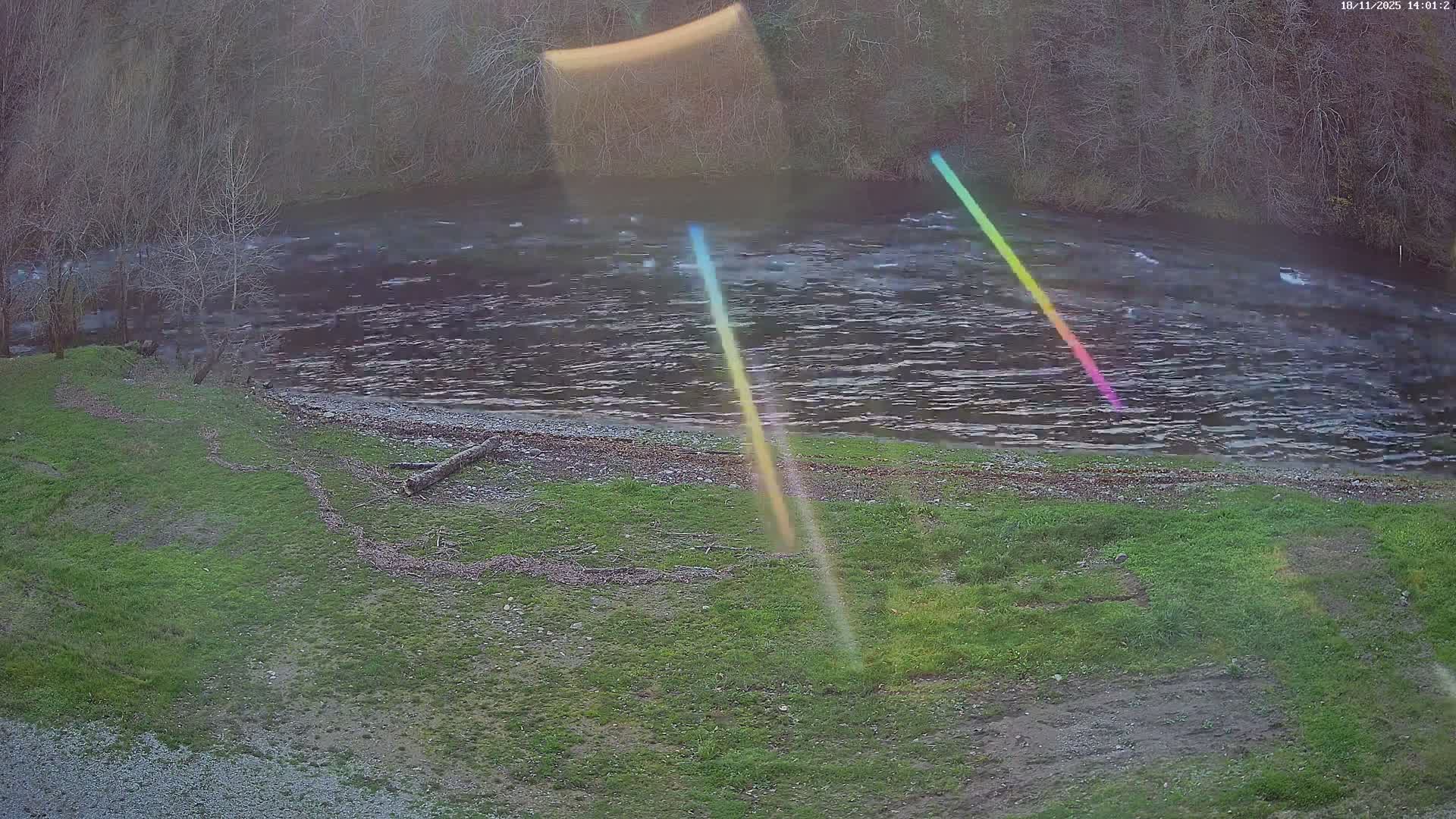 Several stacks of colorful kayaks are on a sandy shore next to a calm river, backed by a lush green forest under a partly cloudy sky.