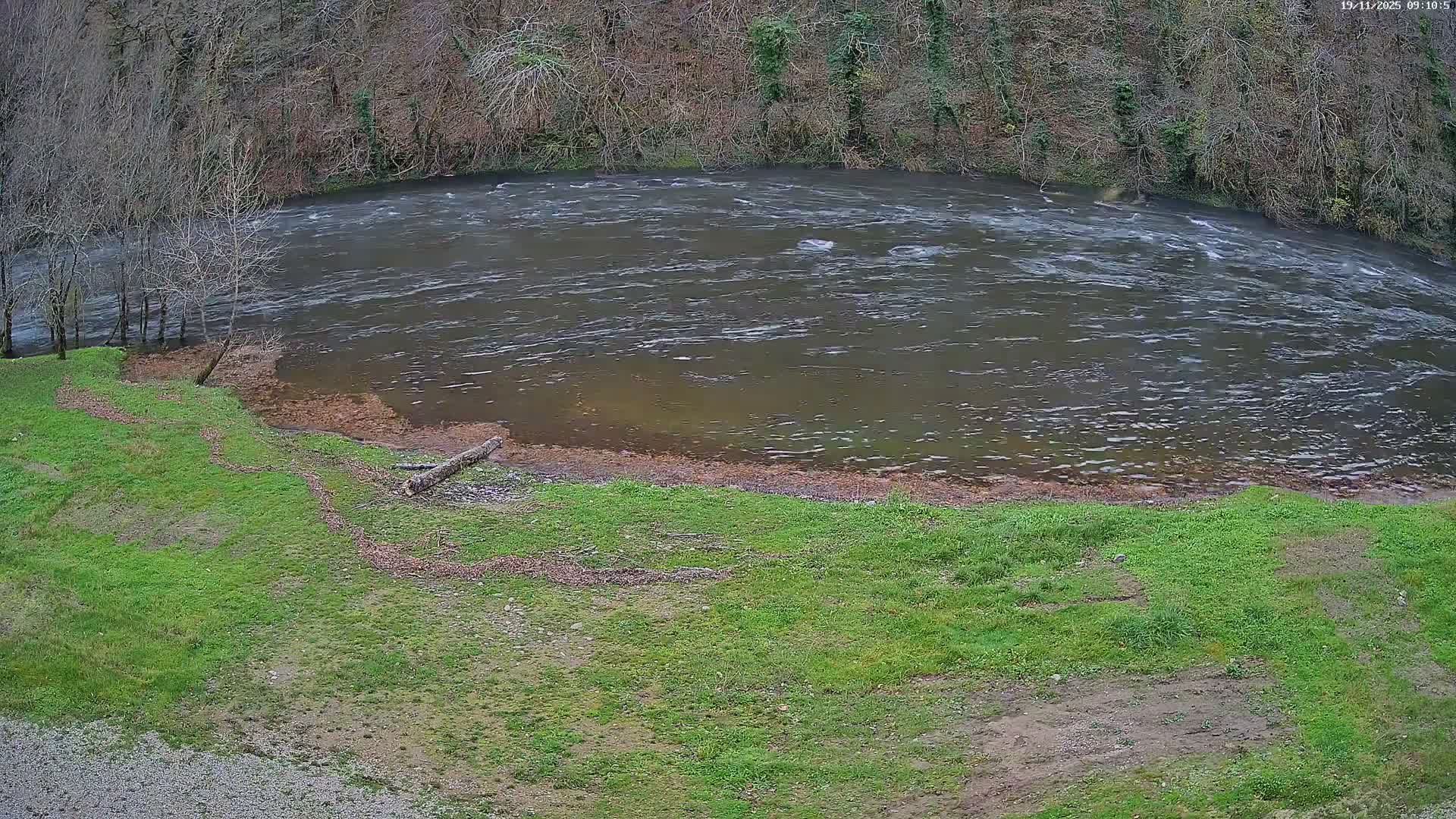 A dark, swiftly flowing river is bordered by a green grassy bank with bare trees and a fallen log on the near side, and a dense, leafless forest on the far side, all under an overcast sky.