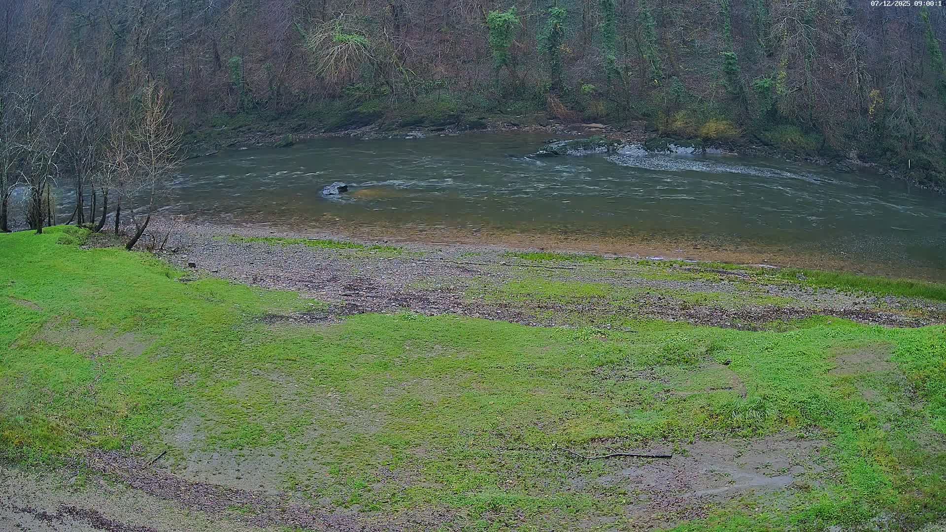 A murky river flows between a muddy green grassy bank with sparse bare trees and a steep, densely forested bank under overcast skies.