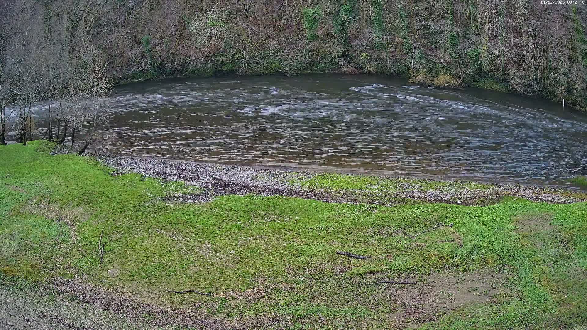 A murky river flows between a muddy green grassy bank with sparse bare trees and a steep, densely forested bank under overcast skies.