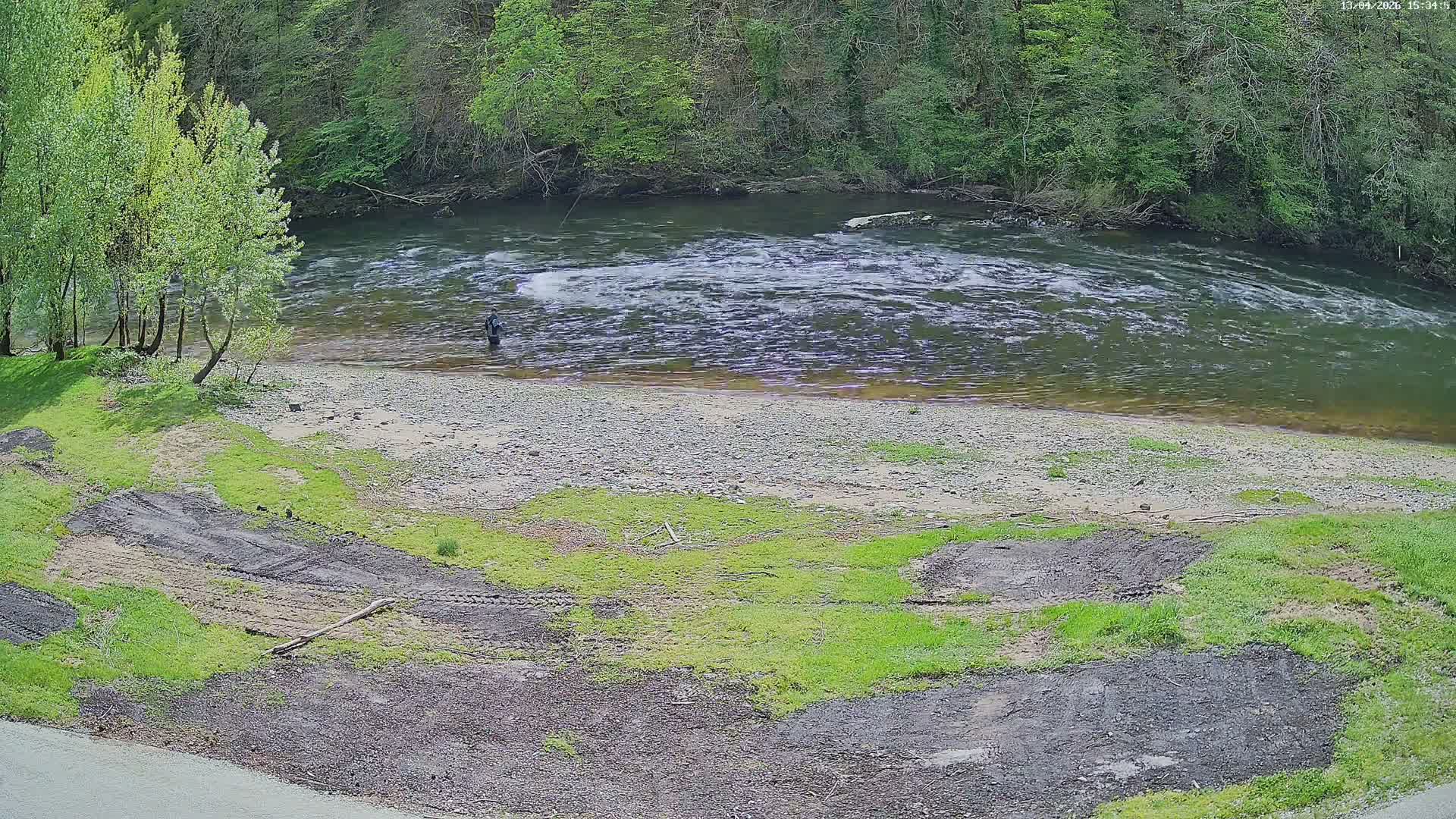A murky river flows between a muddy green grassy bank with sparse bare trees and a steep, densely forested bank under overcast skies.