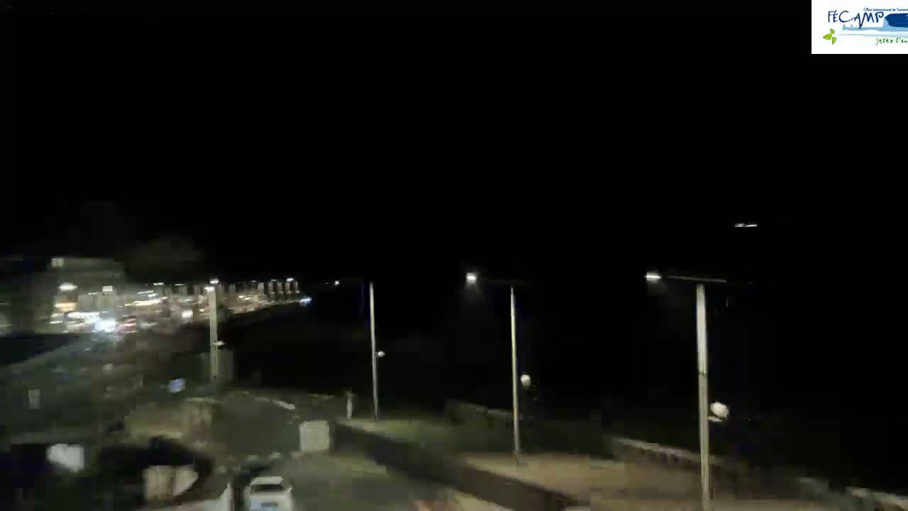 A nighttime view of a road beside a body of water, illuminated by streetlights, with traffic visible in the distance.