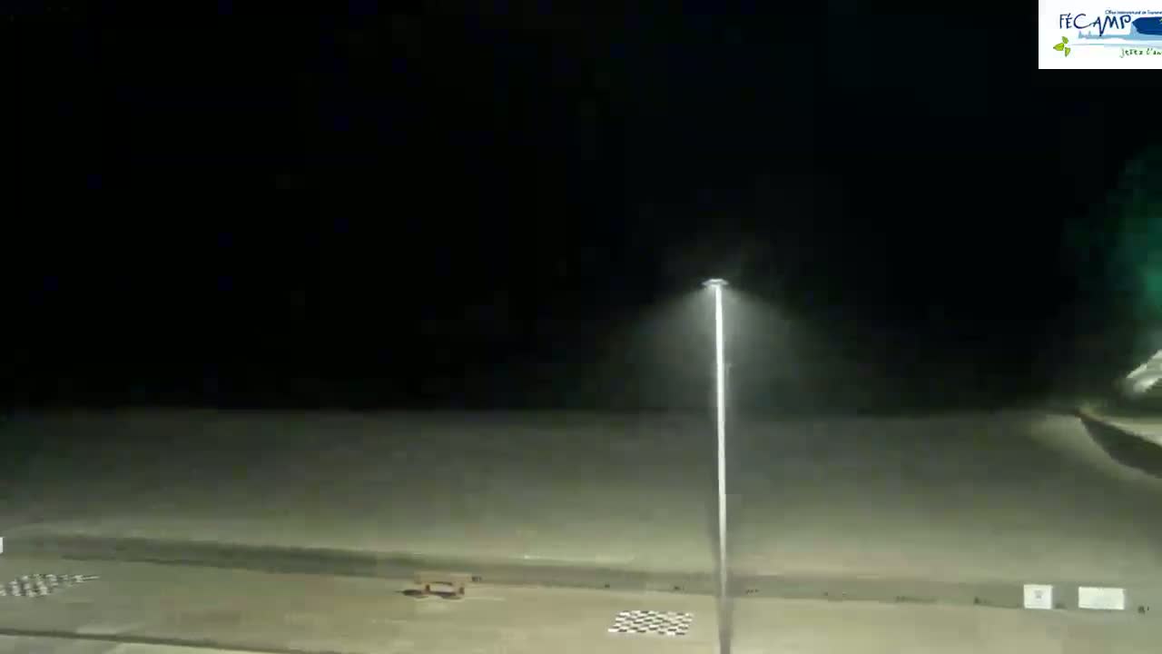A single lamppost illuminates a dark, empty paved area at night in misty or foggy conditions.