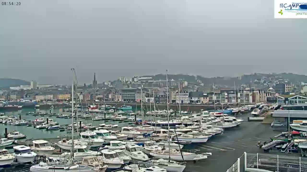 A harbor filled with numerous boats is situated in front of a town under an overcast sky.