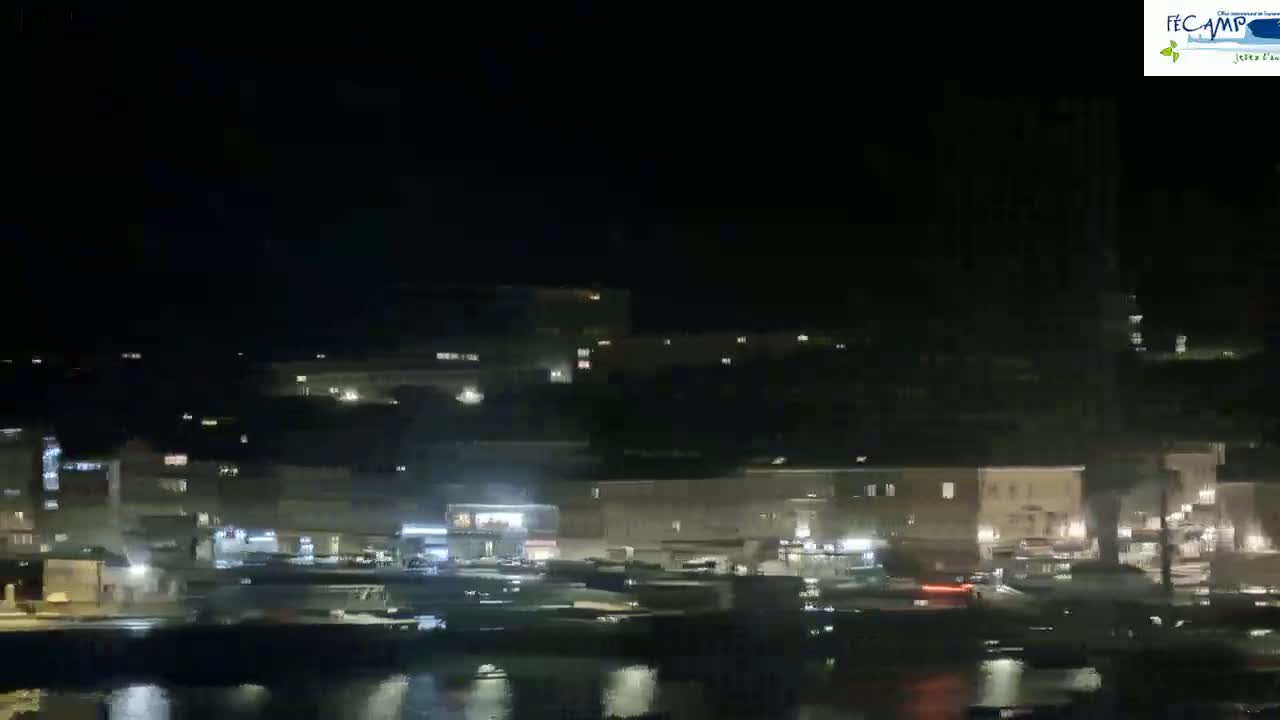 A nighttime view of a waterfront town with dimly lit buildings and a calm body of water in the foreground.