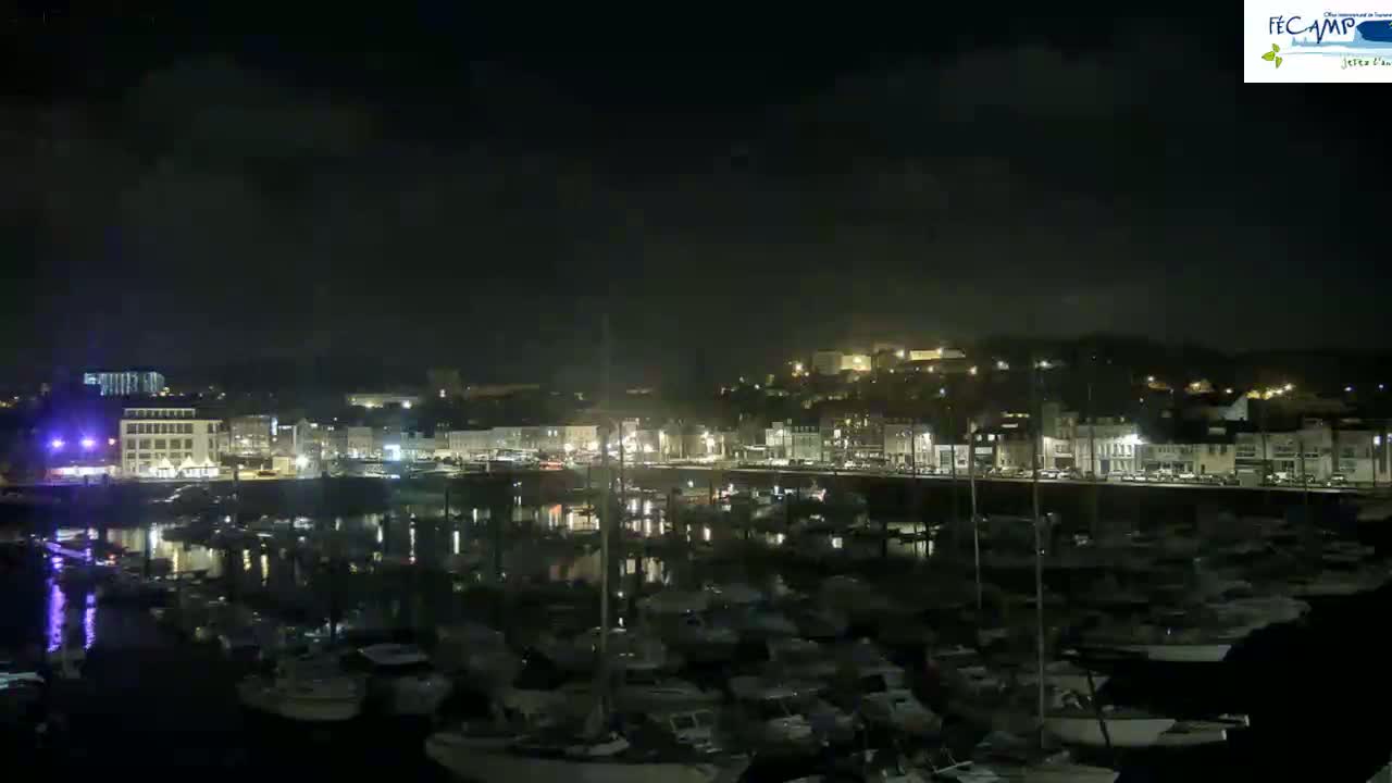 A nighttime view of a harbor filled with many boats, with a town's lights illuminating the waterfront under a dark, cloudy sky.