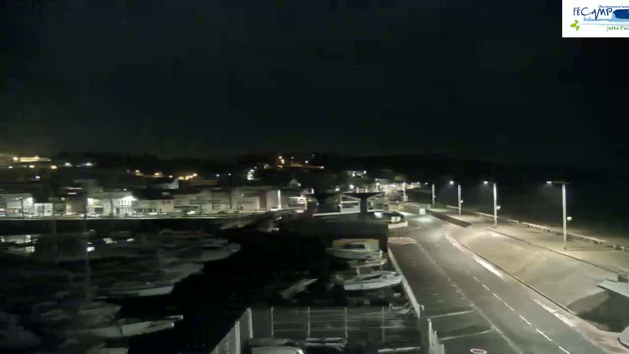 A nighttime view of a harbor filled with boats, next to a town with streetlights illuminating a road along a waterfront.
