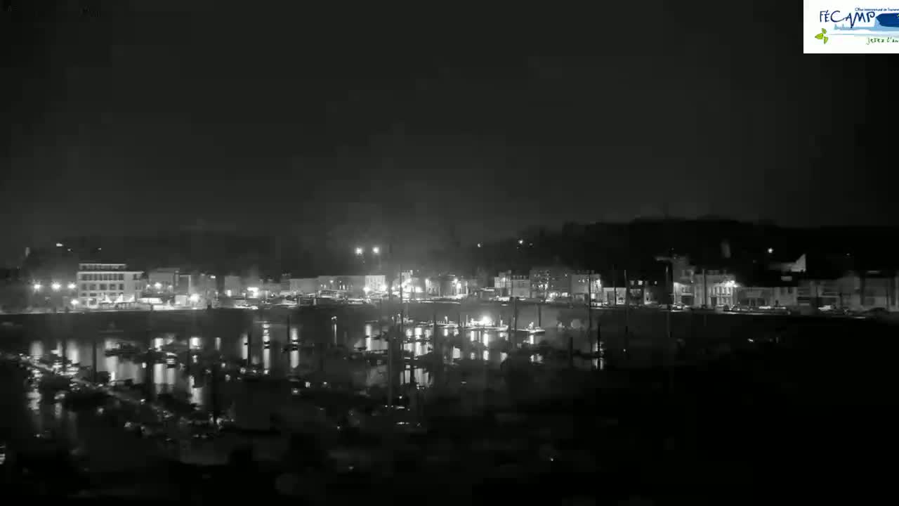 A nighttime, black-and-white view of a waterfront town with boats docked in a calm harbor, illuminated by the lights of buildings along the shore.