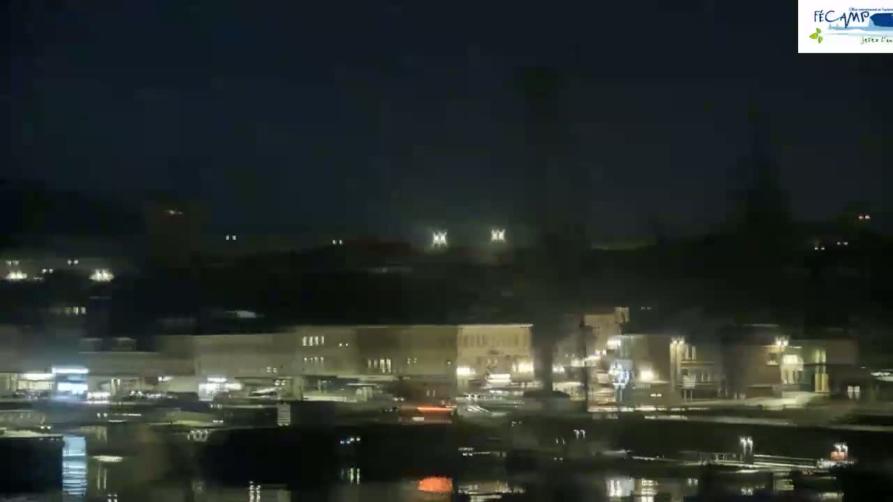 A nighttime long shot of a waterfront town with buildings lit along the shore, under a dark, clear sky.