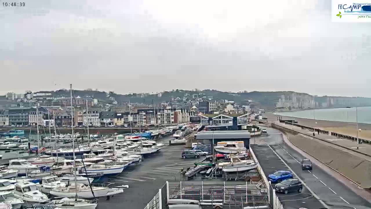 A harbor filled with sailboats is situated near a town overlooking a calm ocean beach on an overcast day.