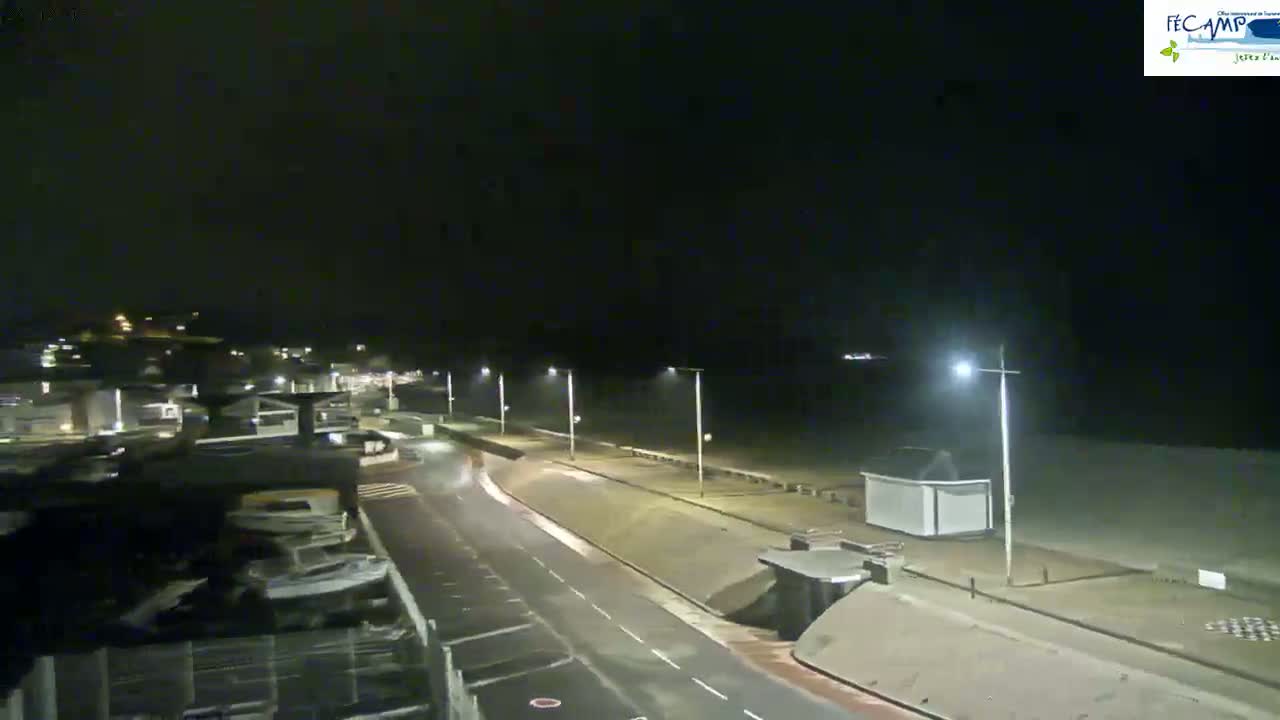 A nighttime view of a coastal road, lined with streetlights, leading to a beach under a dark sky.