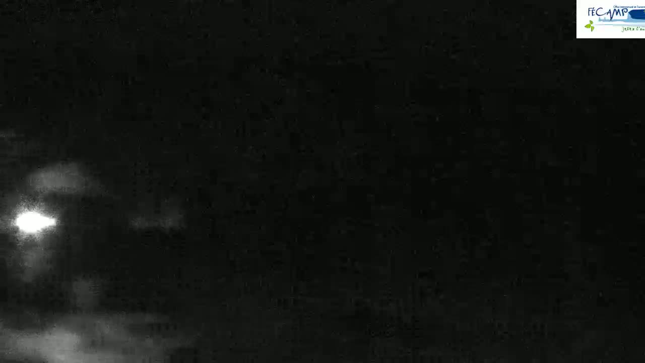 A nighttime, low-light image shows a blurry, indistinct scene with a bright light source in the distance.