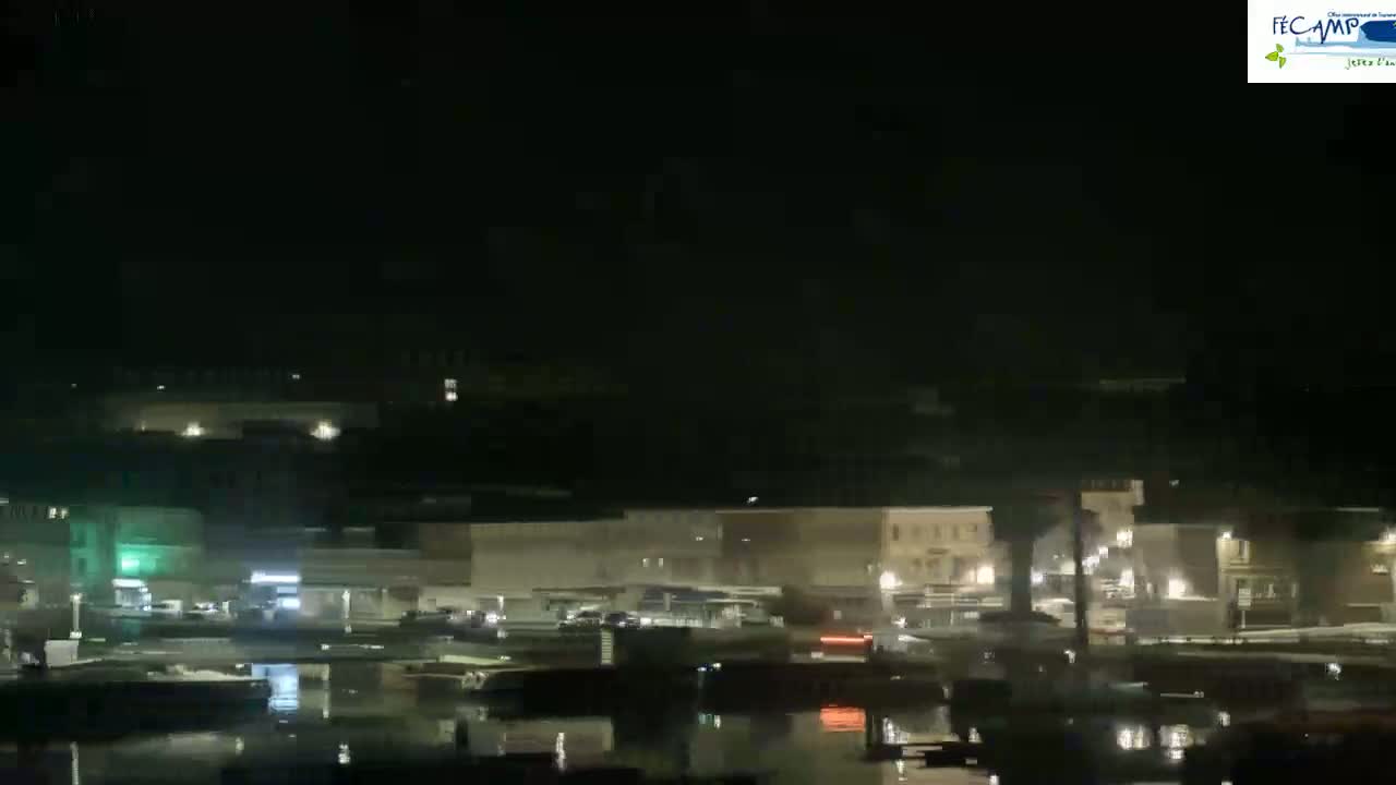 A nighttime view of a waterfront town with buildings and vehicles visible under a dark sky.