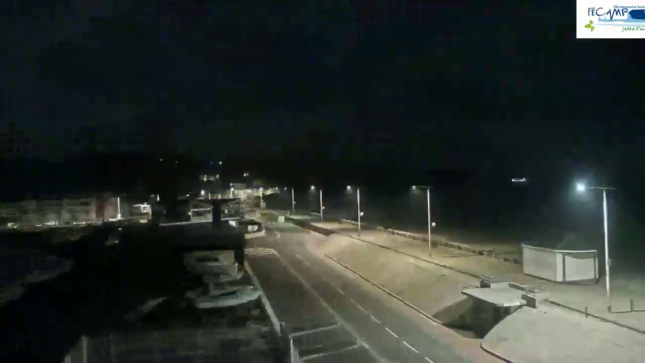 A nighttime, high-angle view shows a mostly empty road leading to a beach under a dark sky.