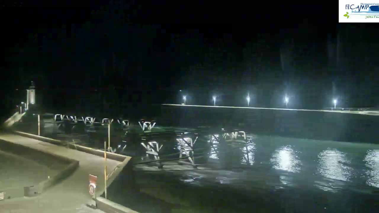 A nighttime view of a pier extending into dark, slightly choppy water, illuminated by lights along the pier.