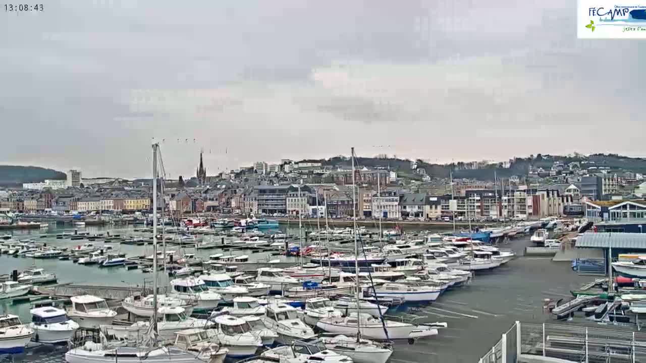 A harbor filled with many boats is situated in front of a town under an overcast sky.