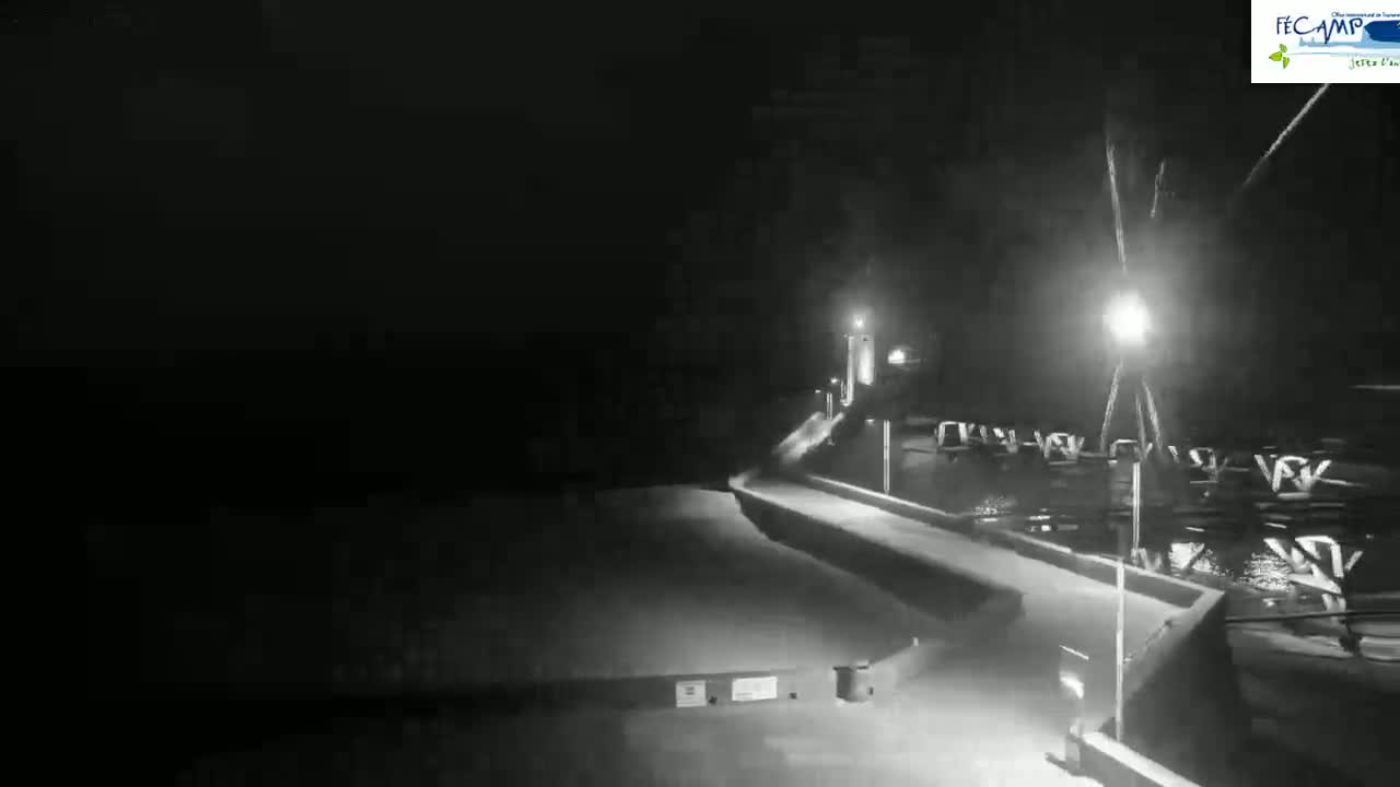 A nighttime, low-light view of a paved waterfront area with several light posts illuminating a body of water and docked boats.