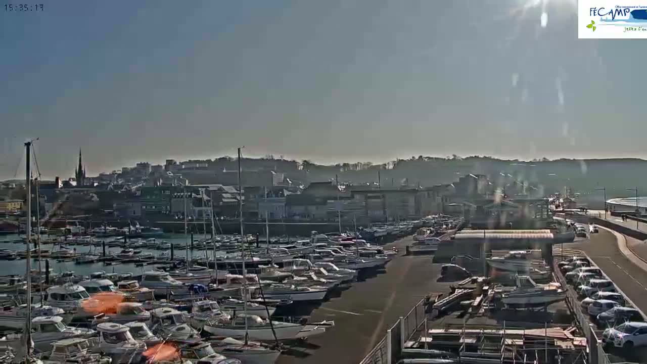 A sunny day shows a harbor filled with many boats and cars parked along a paved area next to a town built on a hillside.