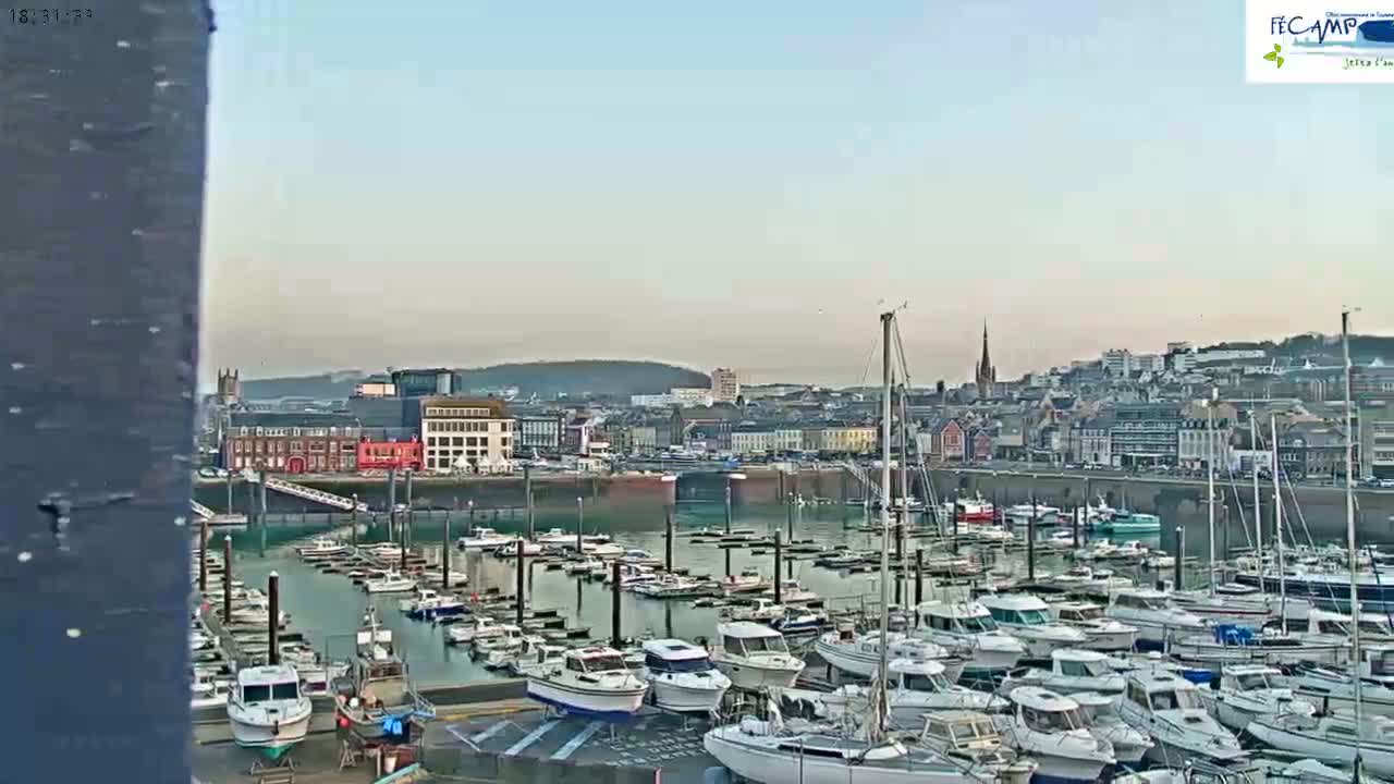 A marina filled with numerous sailboats and motorboats is situated in front of a town under a clear, light-blue sky.