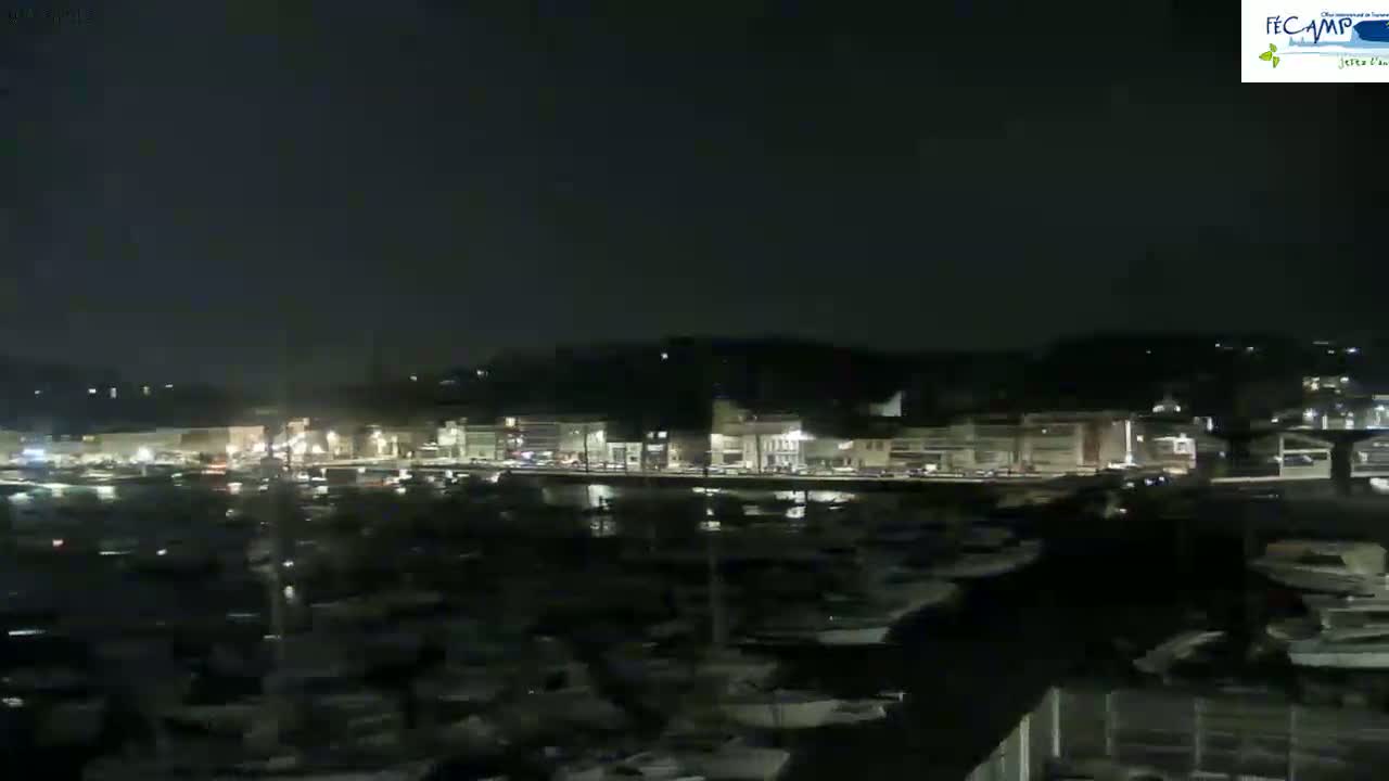 A nighttime view of a harbor filled with boats, illuminated buildings lining the waterfront, and a dark hill in the background under a clear, dark sky.