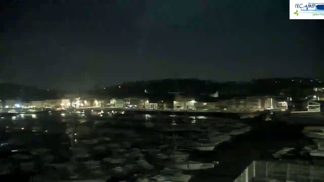 A nighttime view of a harbor filled with boats, lined with buildings that are illuminated, under a clear, dark sky.