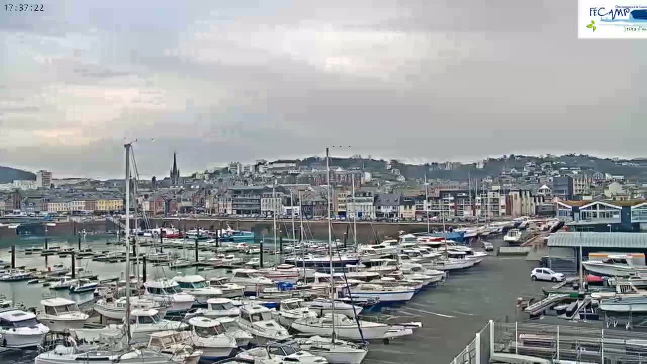 A harbor filled with numerous boats is situated in front of a town under an overcast sky.
