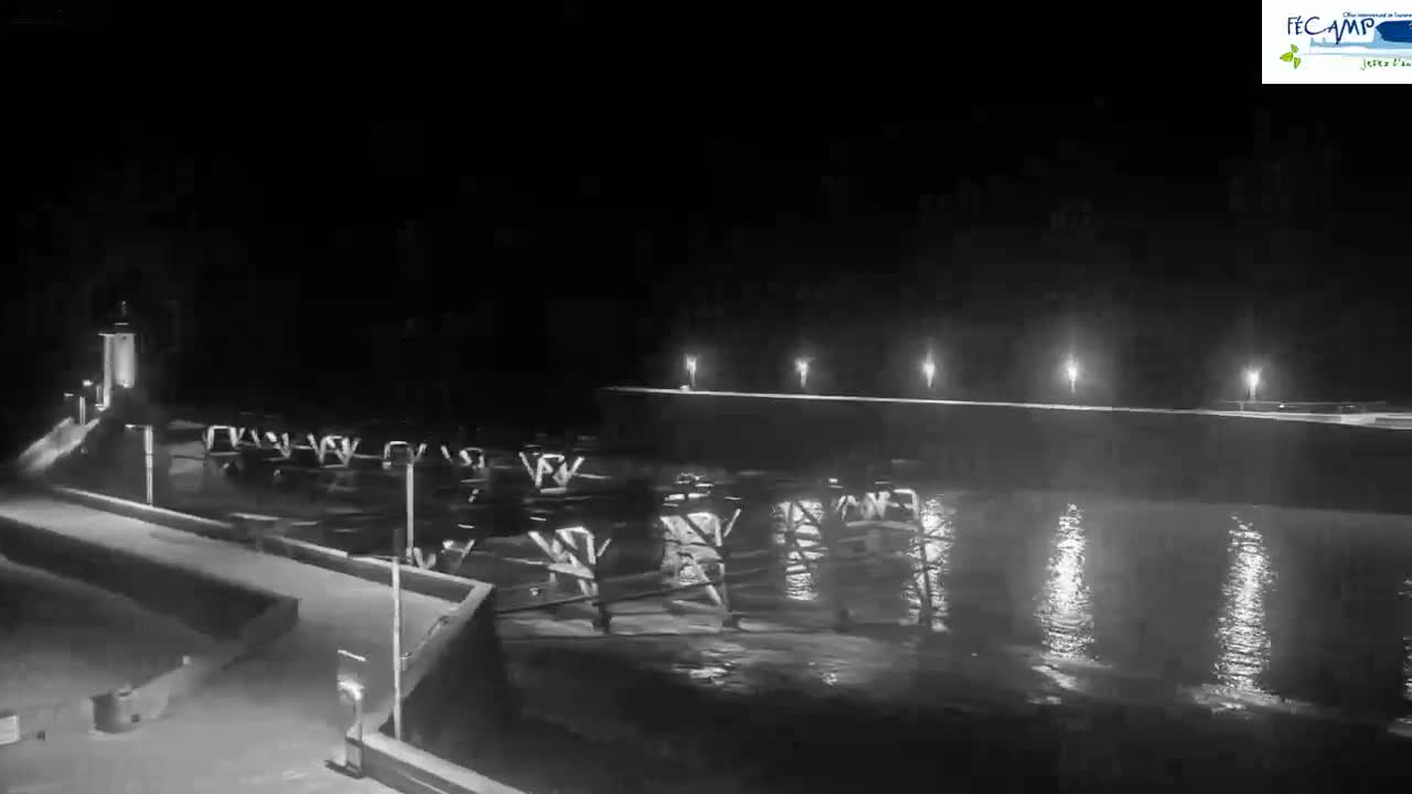 A nighttime, black and white view of a pier extending into dark water, illuminated by lights along its length.