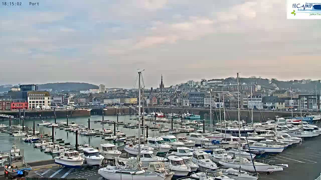 A harbor filled with many docked sailboats and motorboats is situated in front of a town under an overcast sky.