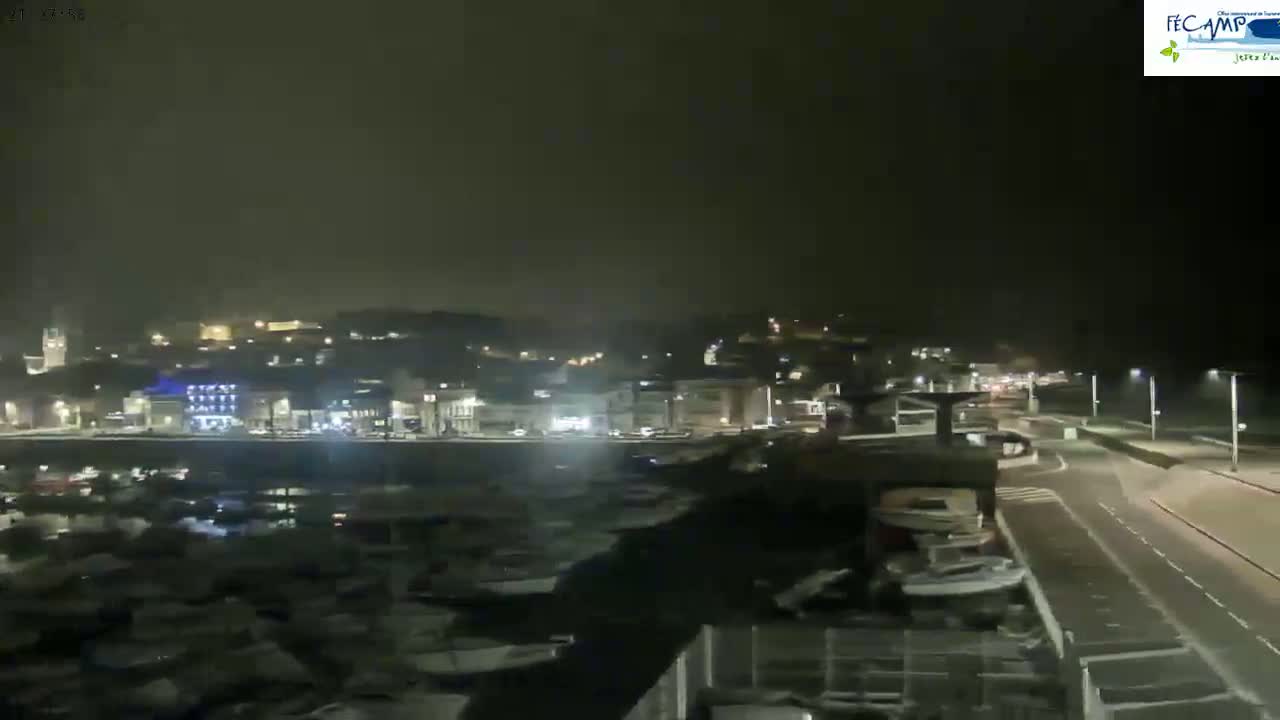 A nighttime view of a harbor filled with boats, next to a town with streetlights, under a dark, overcast sky.
