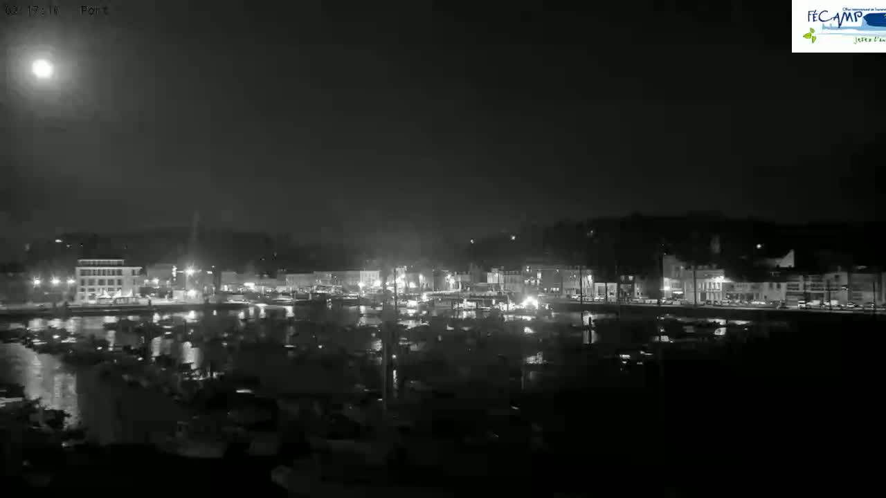 A nighttime, black and white view of a harbor filled with boats, with a town's lights visible across the water under a bright moon.