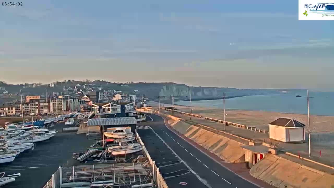 A coastal town marina with numerous boats is seen under a clear, bright sky next to a calm ocean with a sandy beach and white cliffs in the distance.