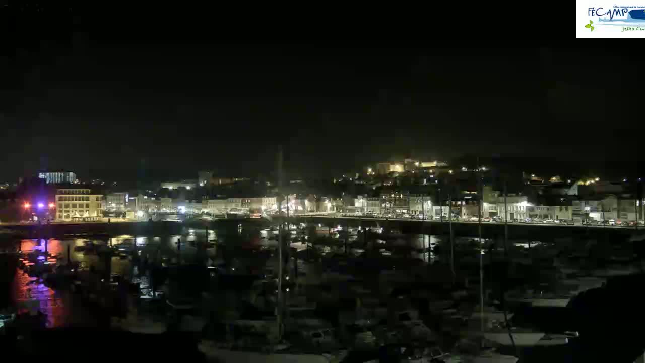 A nighttime view of a harbor filled with boats, next to a city illuminated by streetlights.