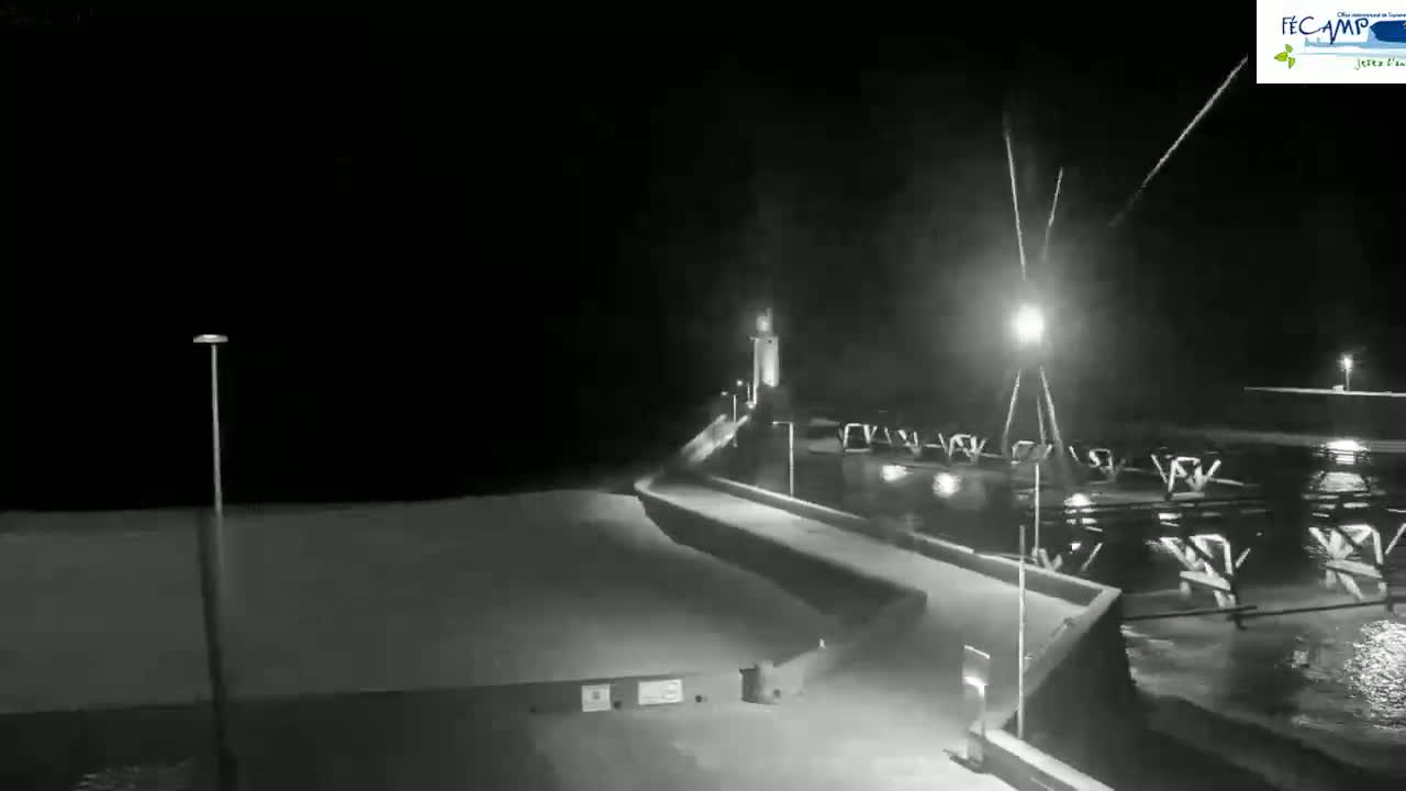 A nighttime, black and white view of a seaside walkway, illuminated by streetlights, leading toward a small structure and harbor with calm water.