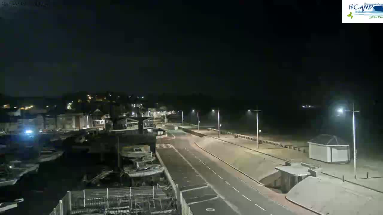 A nighttime, seaside view shows a mostly empty road leading to a beach, with boats docked on the left and buildings in the background under a clear, dark sky.
