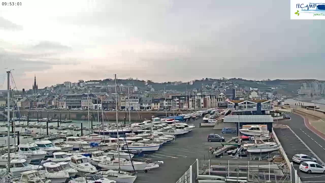 A marina filled with numerous boats is situated in front of a town, under an overcast sky.