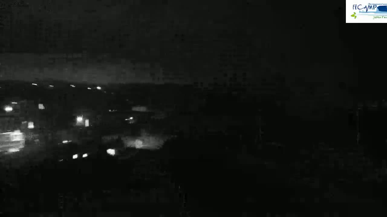 A nighttime, low-light view shows a distant collection of faint lights, possibly buildings or vehicles, under a dark, overcast sky.