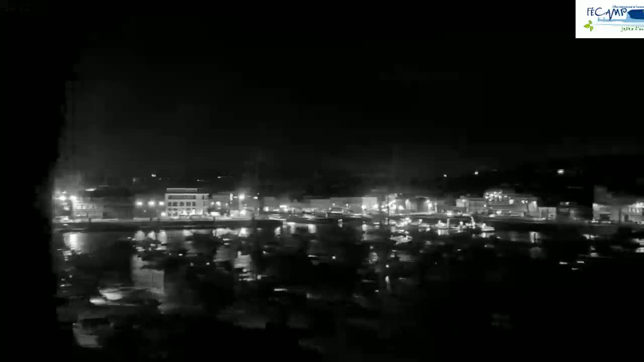 A nighttime view of a harbor town with many boats and lights reflecting on the water under a dark sky.
