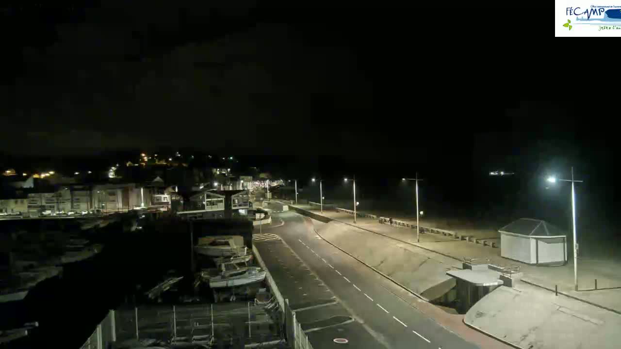 A nighttime view of a coastal road, lined with streetlights, overlooking a dark beach and a harbor filled with boats under a mostly clear sky.