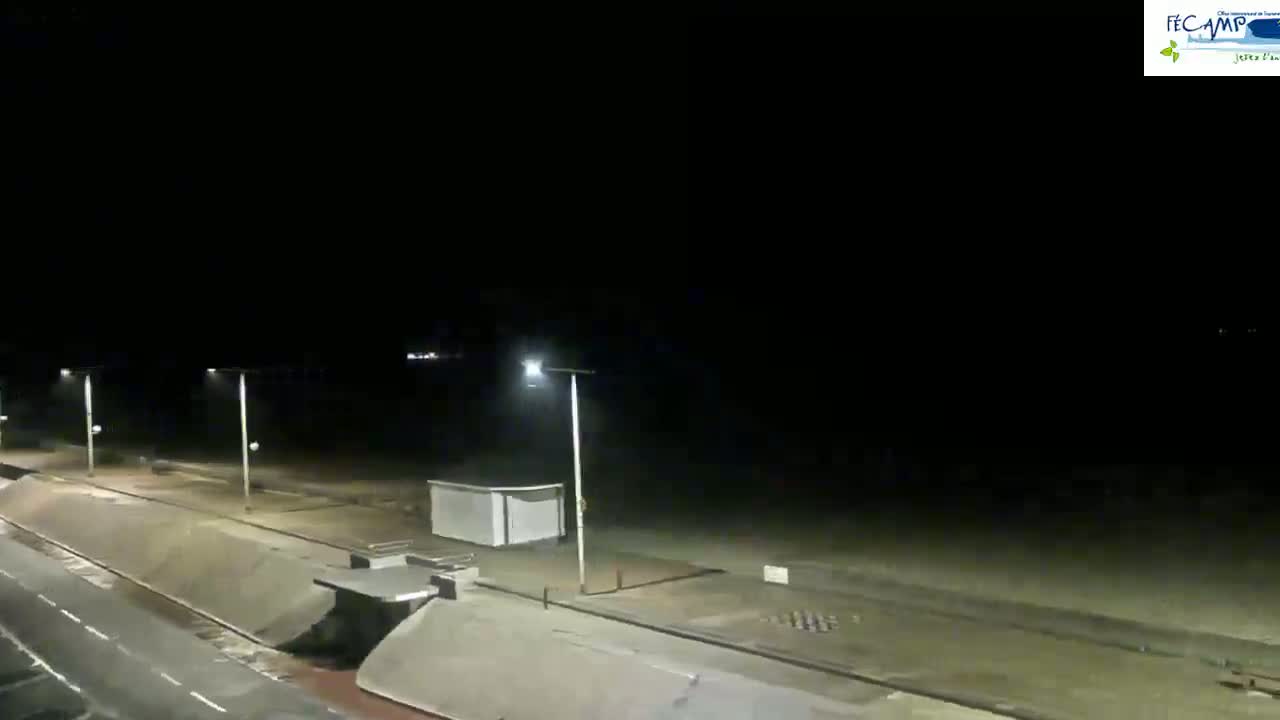 A nighttime view of a dark beach with a road and several illuminated lampposts.