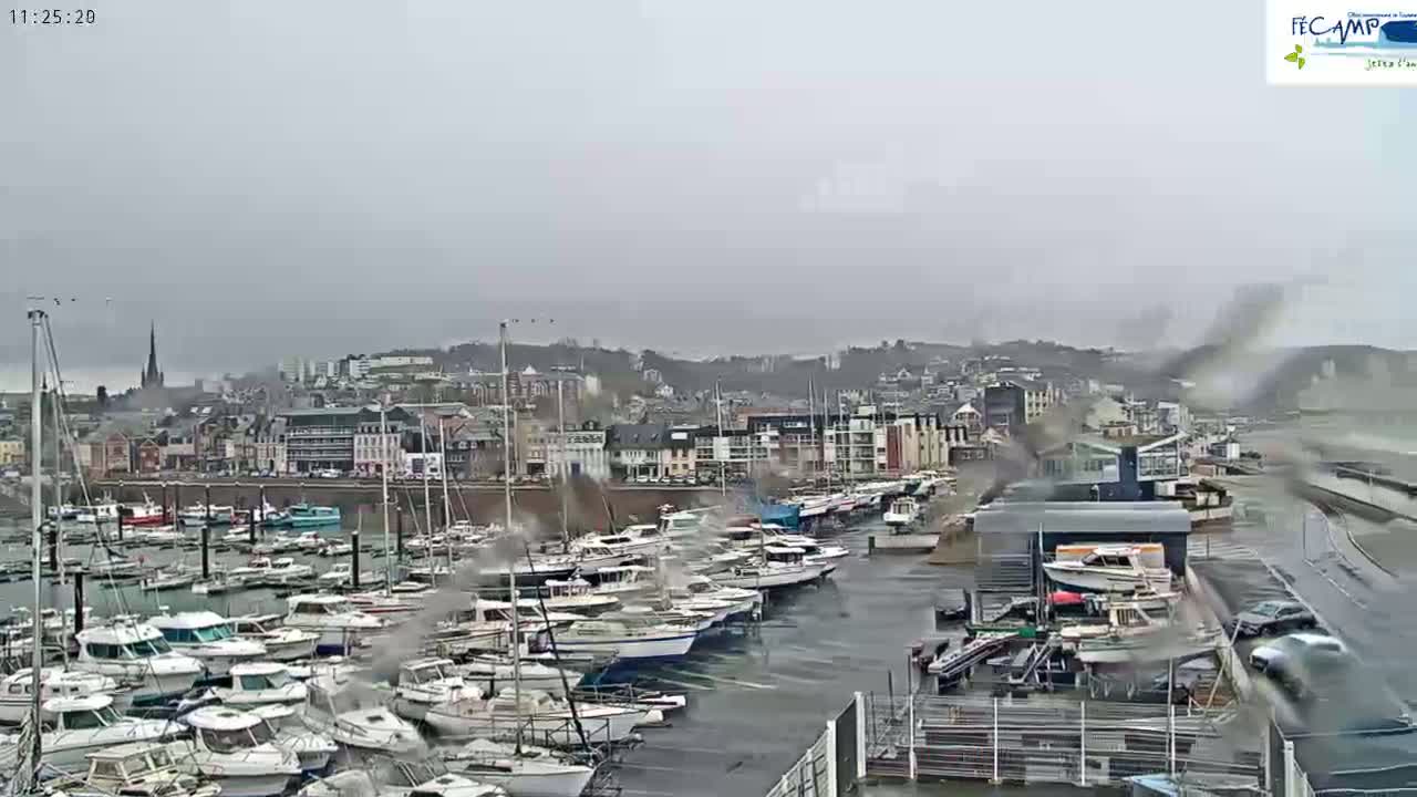 A harbor filled with numerous boats is seen under a gray, rainy sky, with a town and hills visible in the background.