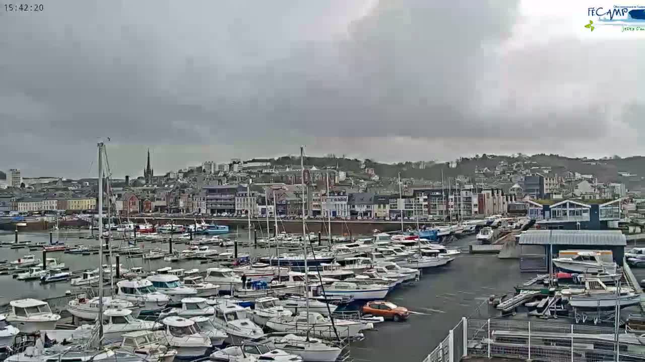 A harbor filled with many boats is situated in front of a town under an overcast sky.