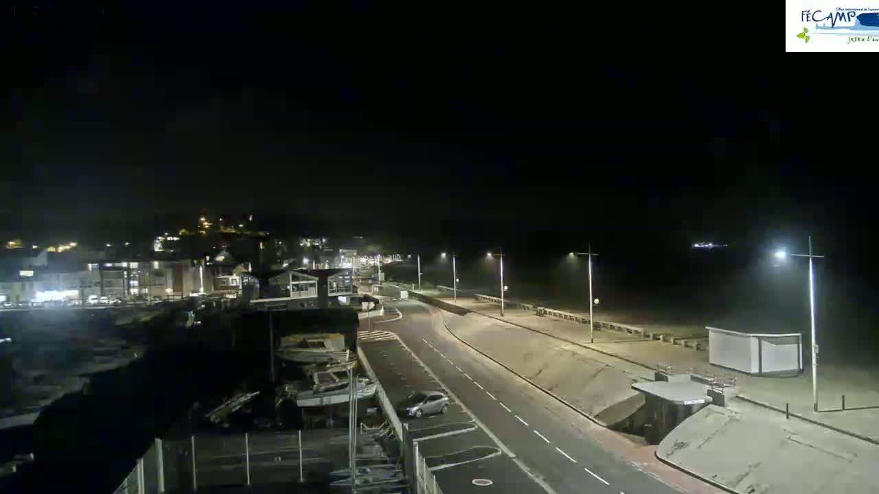 A nighttime, high-angle view shows a coastal town with a road leading to a beach, illuminated by streetlights under a dark, clear sky.