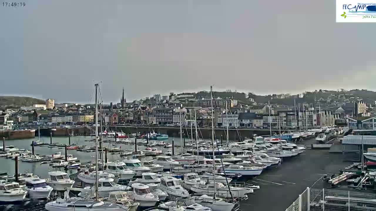 A harbor filled with numerous boats and yachts is situated in front of a town under an overcast sky.