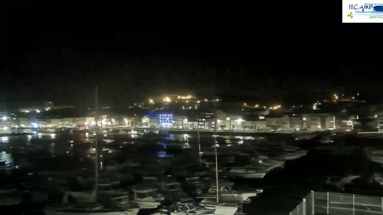 A nighttime view of a harbor filled with numerous boats, with a town's lights illuminating the waterfront.