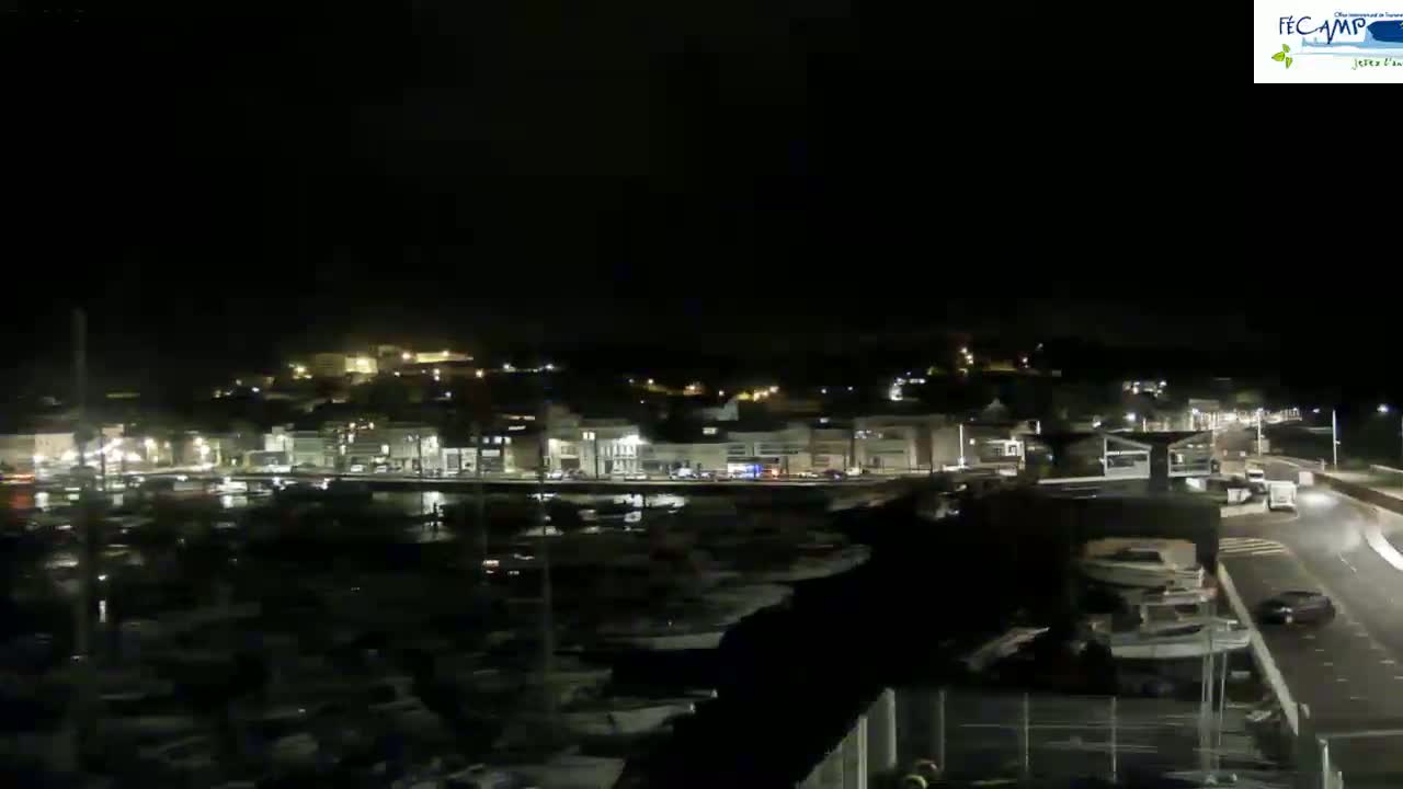 A nighttime view of a harbor filled with boats, next to a town with illuminated buildings and a road with some cars.