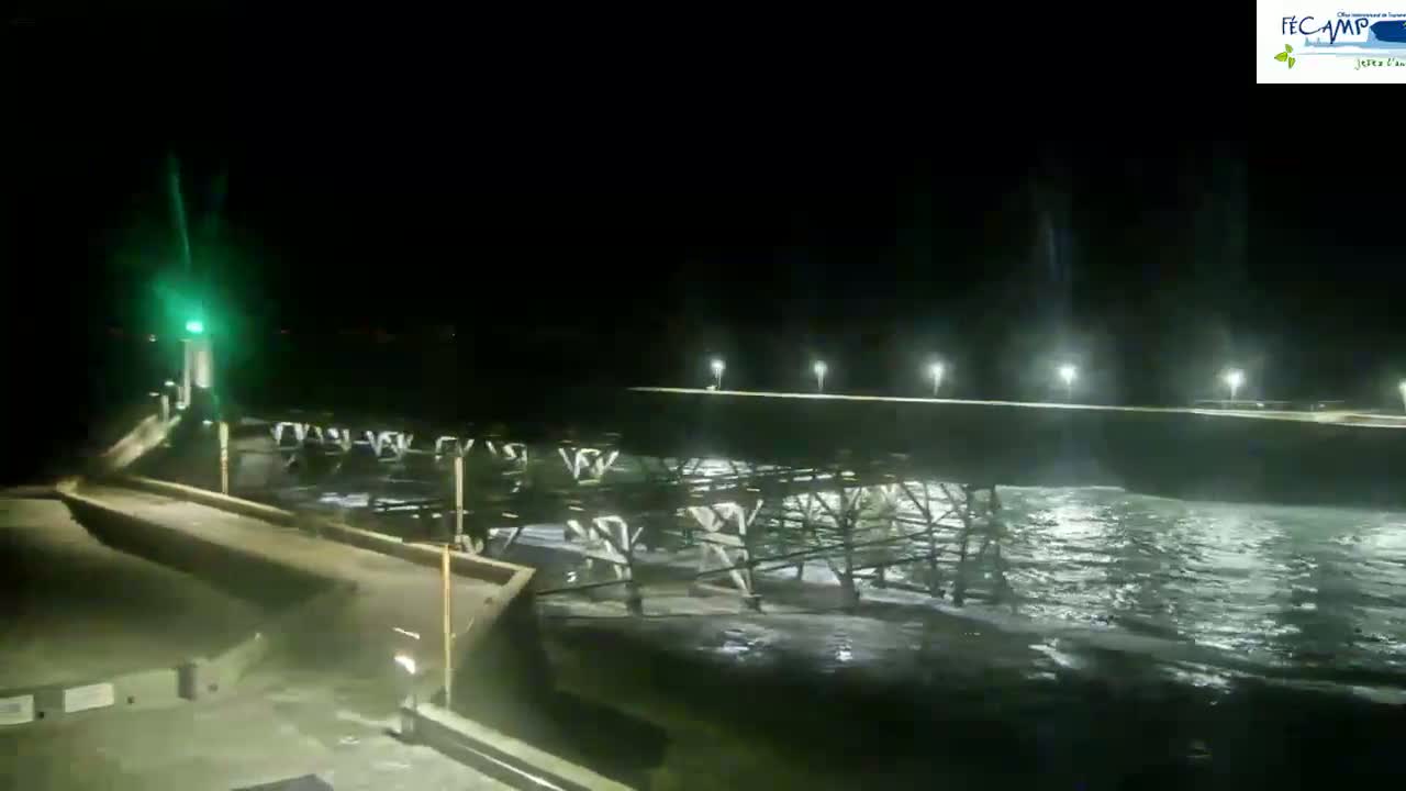 A long pier is illuminated at night by several lights, with choppy water visible beneath it.