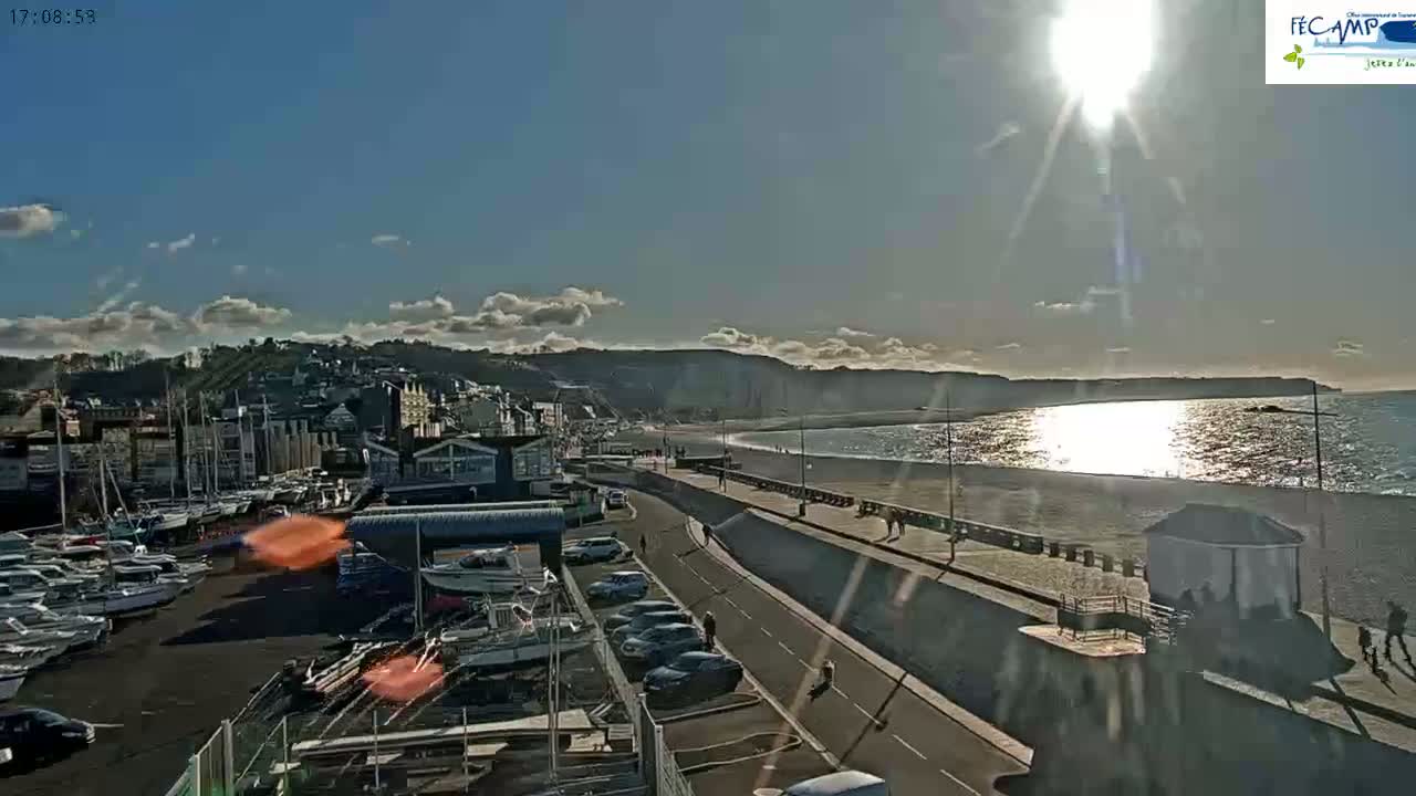 A sunny day overlooking a harbor filled with boats, a seaside town, a beach, and white cliffs in the distance.