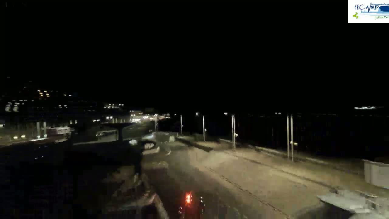 A nighttime view of a road near a body of water, with some vehicles visible in the distance and a bicycle in the foreground.