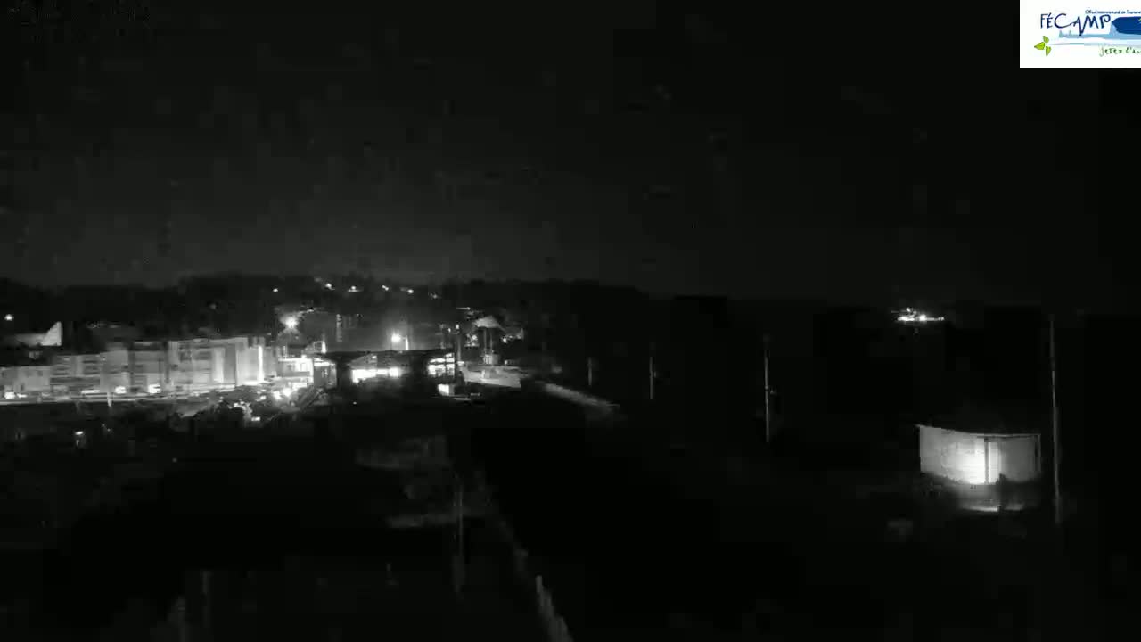 A nighttime, black-and-white long shot shows a dimly lit cityscape with a few buildings and some faint lights visible under a dark, clear sky.