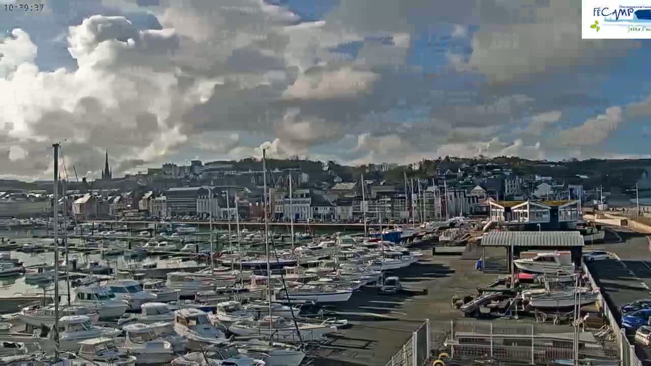 A harbor filled with numerous boats is situated in front of a town under a partly cloudy sky.